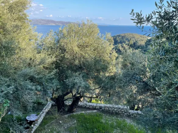 Land In Corfu, Greece