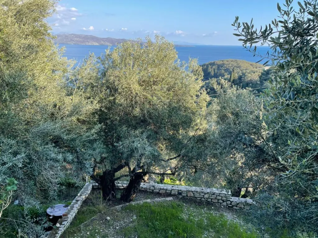 Land Of 5000 M² In Corfu