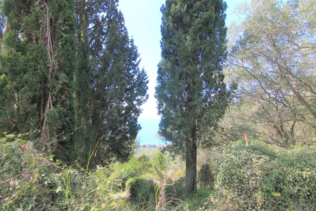 Land Of 1206 M² In Corfu