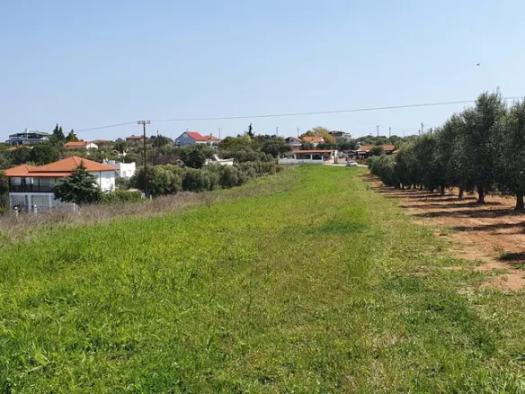 Land In Kassandra, Greece