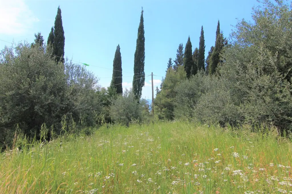 Land Of 1206 M² In Corfu