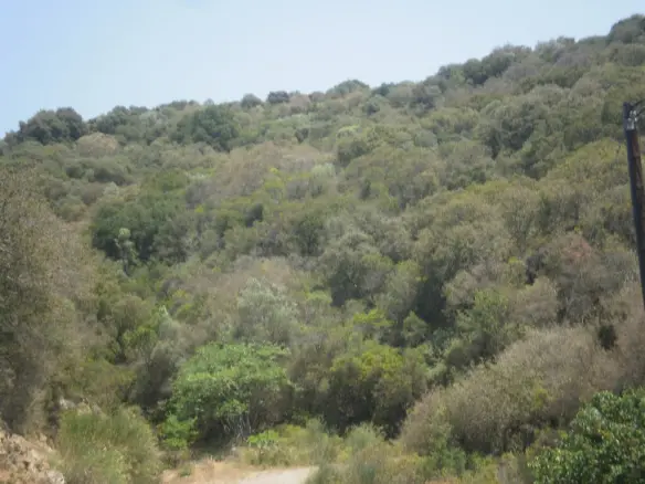 Land In Aristotle, Greece