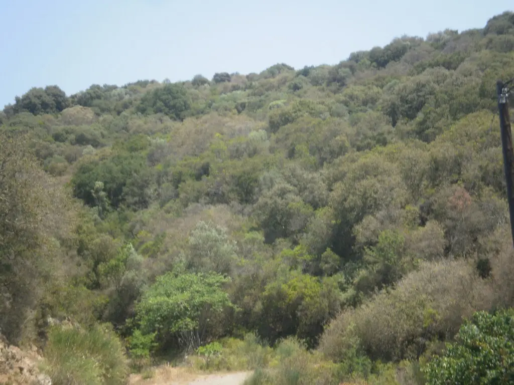 Land Of 6070 M² In Athos, Chalkidiki