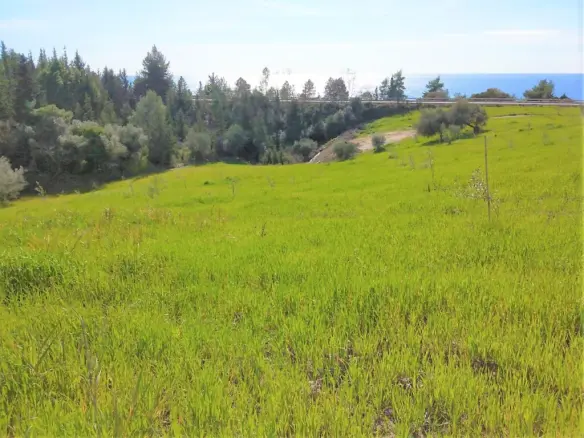 Grundstück von 15000 m² in Epirus