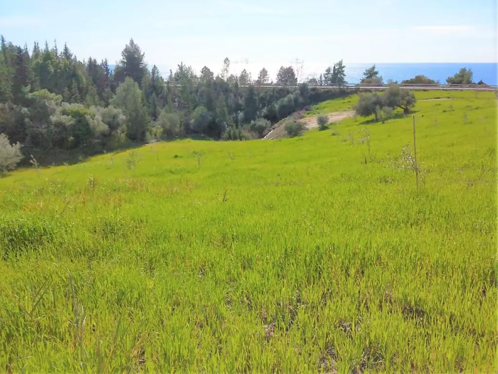 Land Of 15000 M² In Epirus