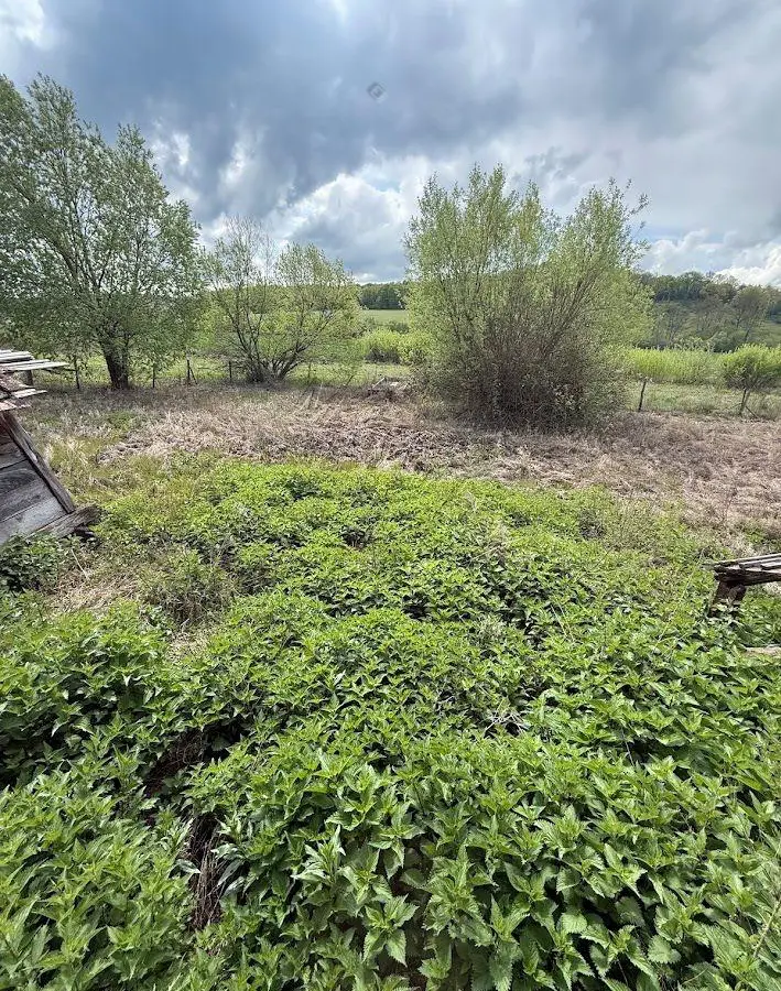 House Of 100 M² With A Garden In Mindszentgodisa, Baranya