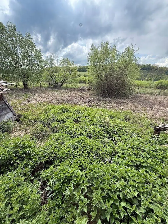 House Of 100 M² With A Garden In Mindszentgodisa, Baranya
