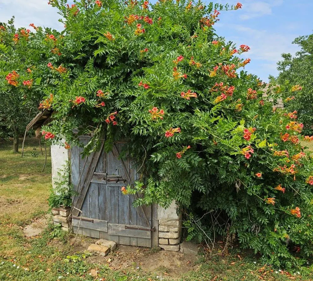 House Of 200 M² With Garden In Nak, Tolna