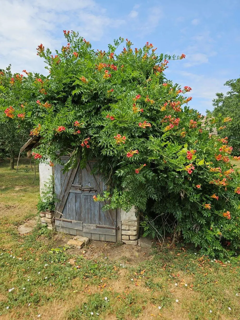 House Of 200 M² With Garden In Nak, Tolna
