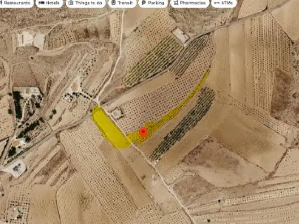 Land In Pinoso, Spain (12.392 M² Plot)