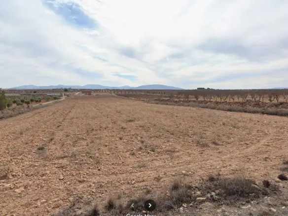 Land Of 0 M² In Pinoso, Spain