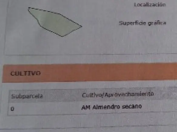 Land In El Cantón, Spain (18.791 M² Plot)