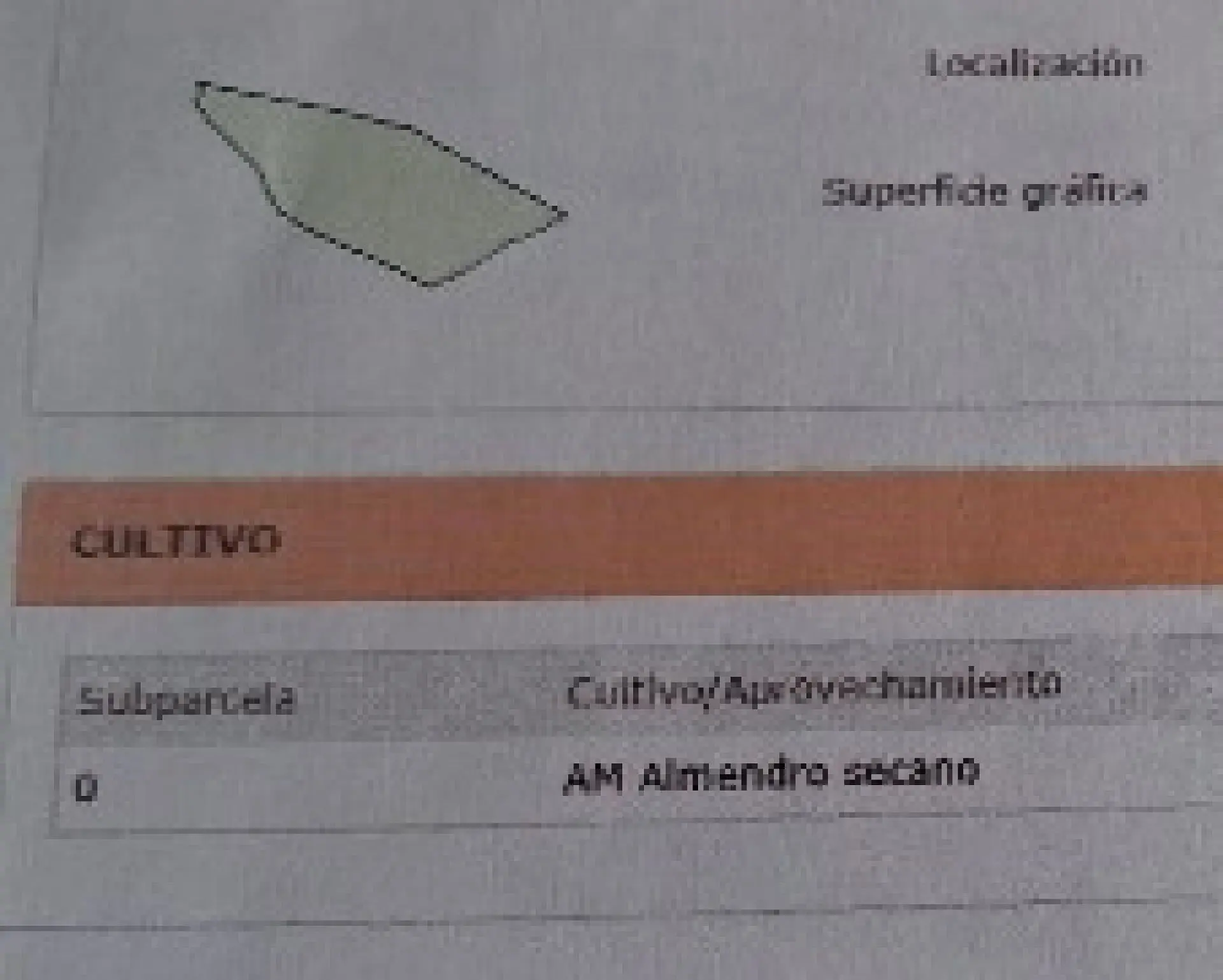 Land Of 0 M² In El Cantón, Spain