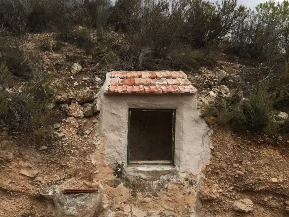 Land In El Cantón, Spain (2.785 M² Plot)