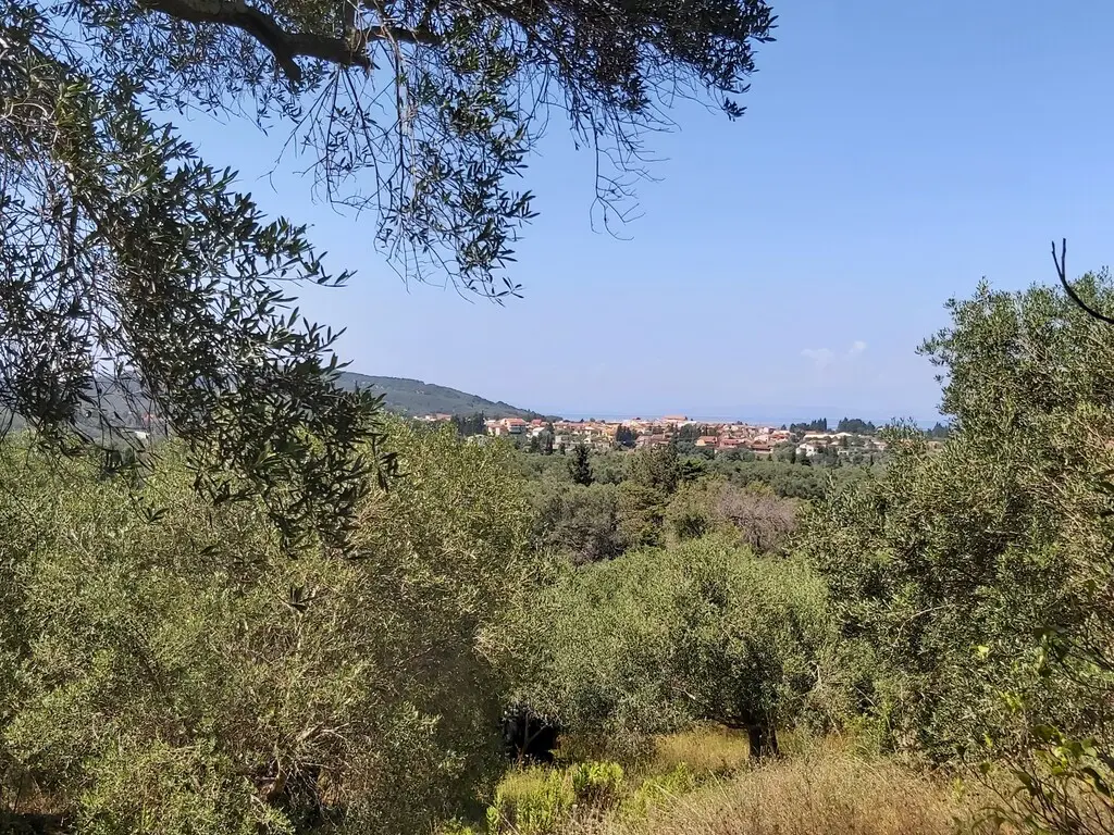 Land Of 4800 M² In Corfu