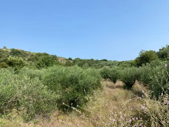 Land In Vamos, Greece