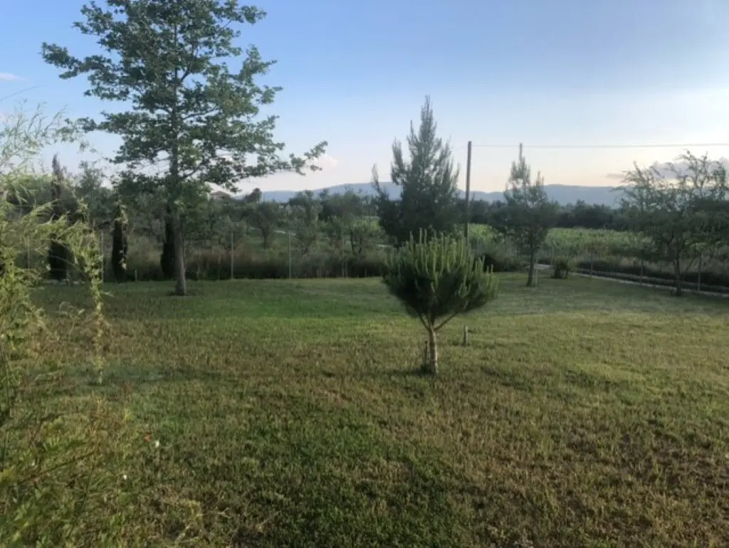 Detached House Of 200 M² In Zante