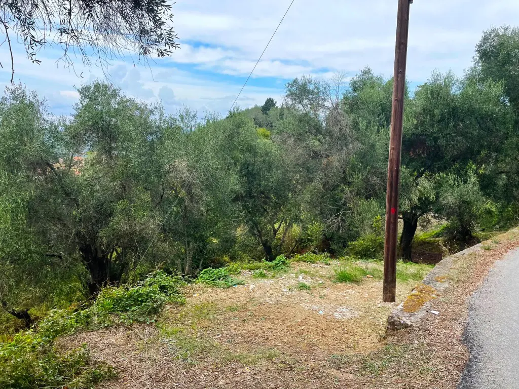 For Sale Land 1202 M² In Corfu