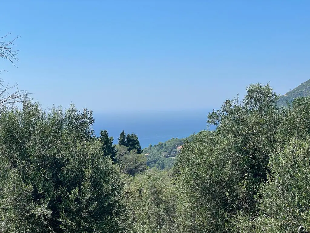 For Sale Land 1202 M² In Corfu