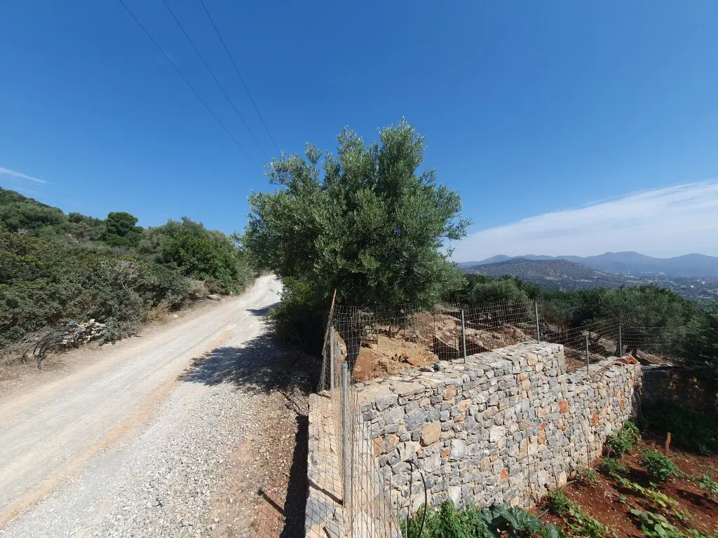 Land Of 4045 M² In Crete