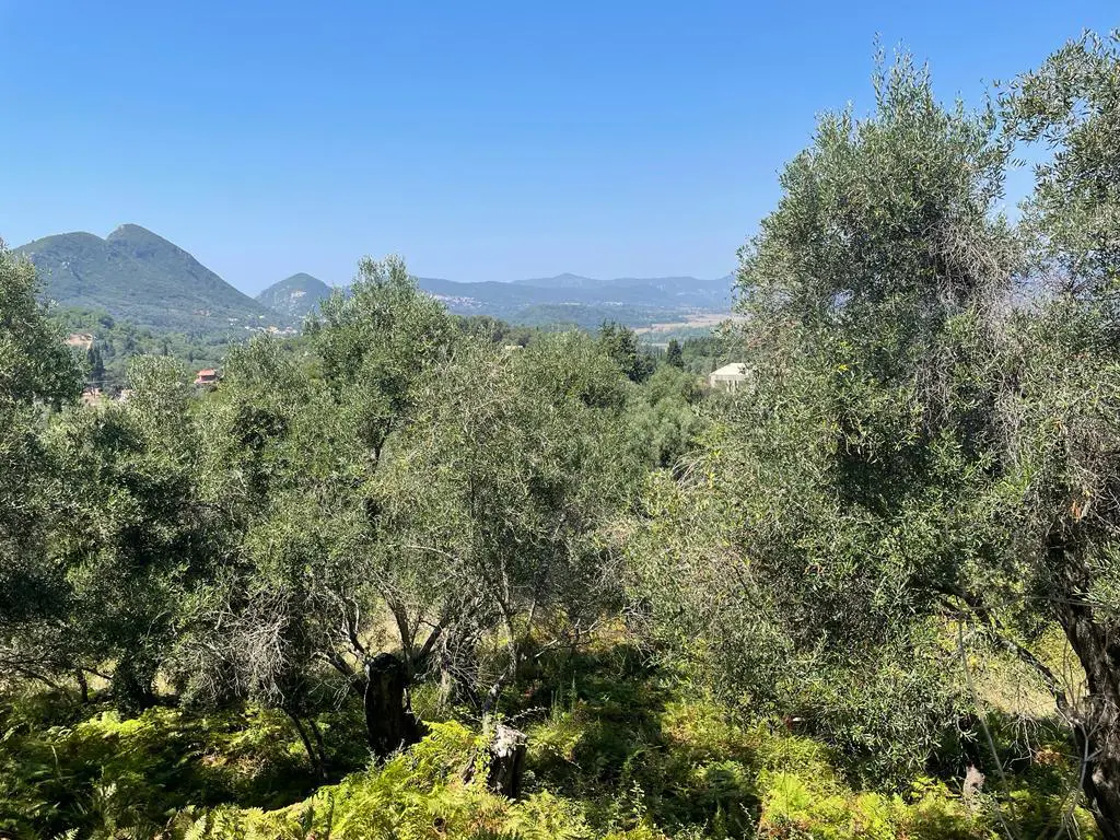 For Sale Land 1202 M² In Corfu