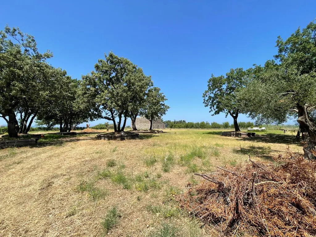 Land Of 26159 M² In Corfu