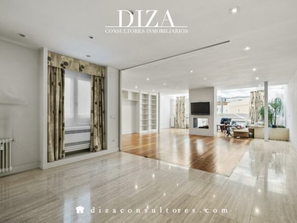 Divisible Penthouse Of X In Recoletos