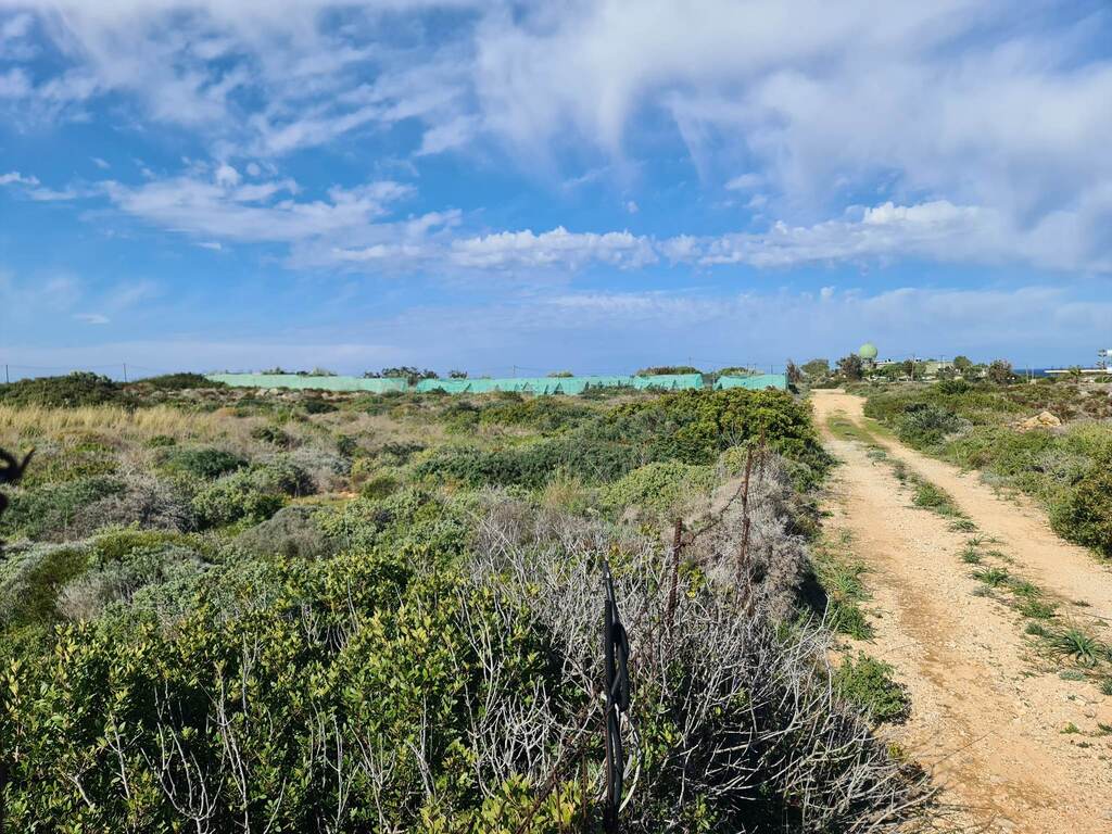 Land Of 8131 M² In Crete
