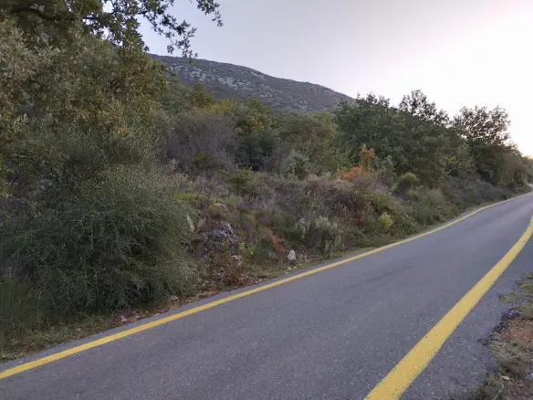 Land In Lefktros, Greece