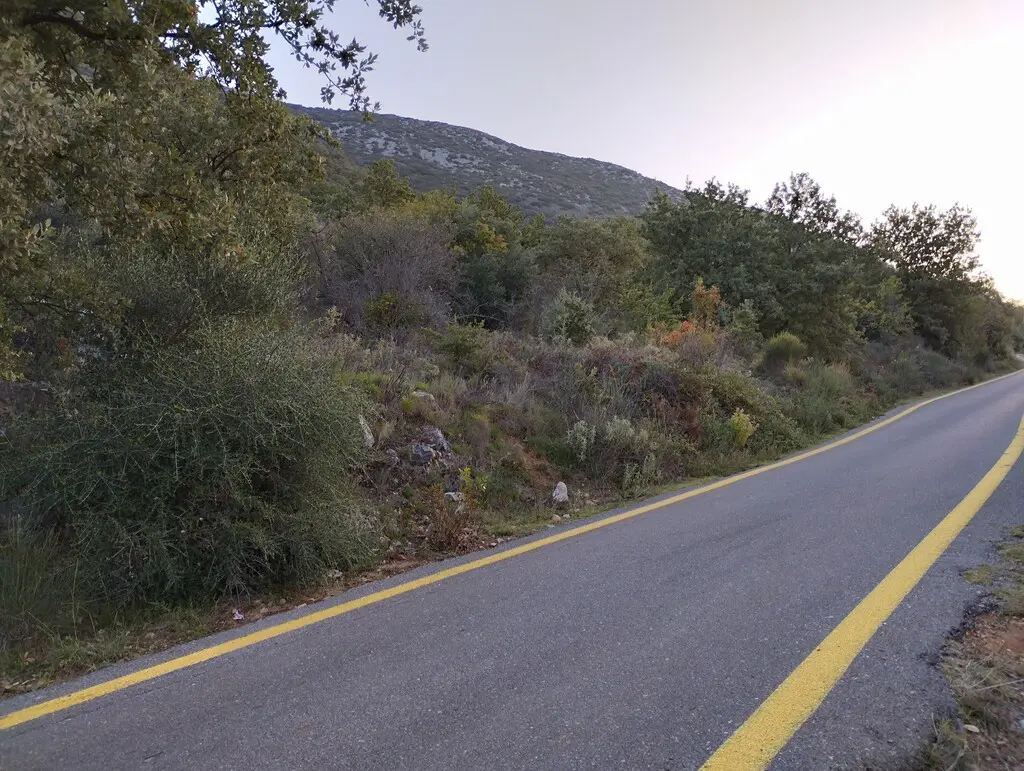 Land Of 9200 M² In Western Peloponnese