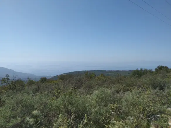 Land Of 9200 M² In Western Peloponnese