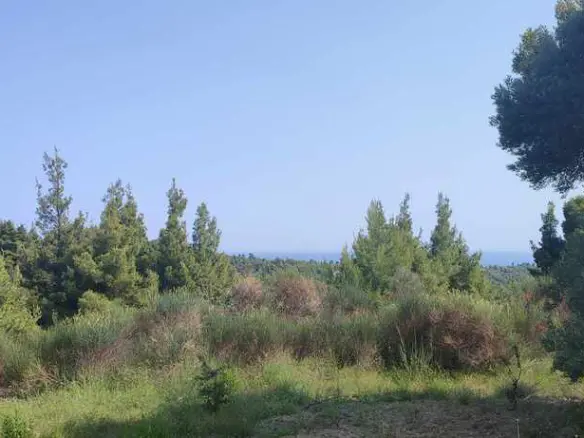 Land In Kassandra, Greece