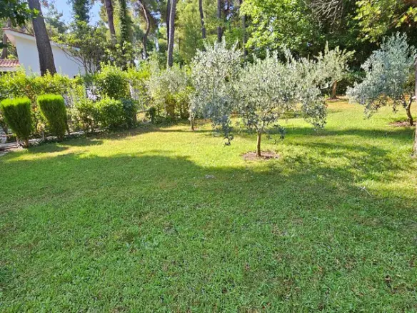 2-bedroom Villa In Kassandra, Greece (78 M²)