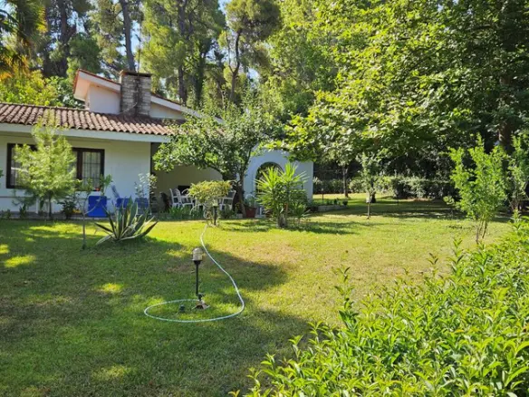 Villa Of 78 M² In Kassandra, Chalkidiki