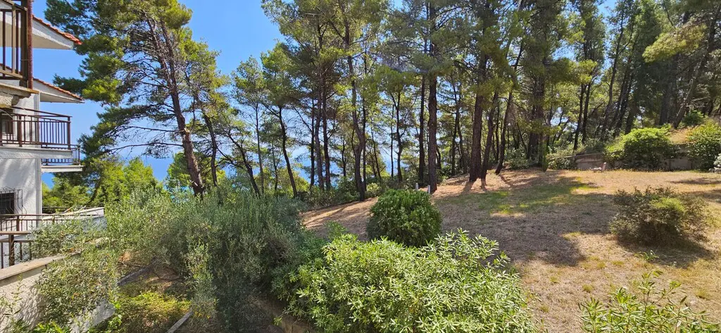Apartment Of 150 M² In Kassandra, Chalkidiki