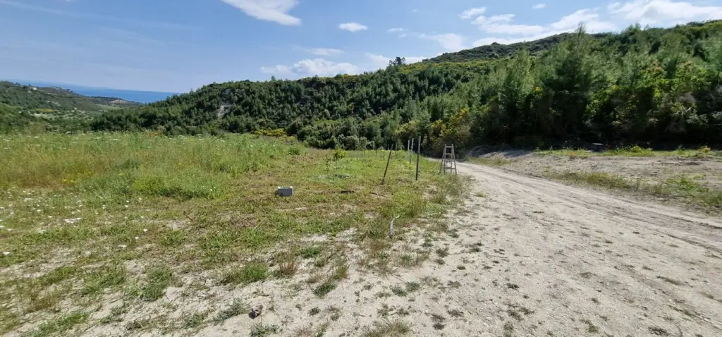 Land Of 10000 M² In Kassandra, Chalkidiki