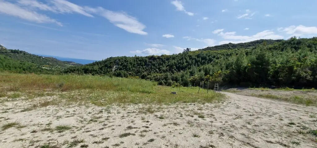 Land Of 10000 M² In Kassandra, Chalkidiki