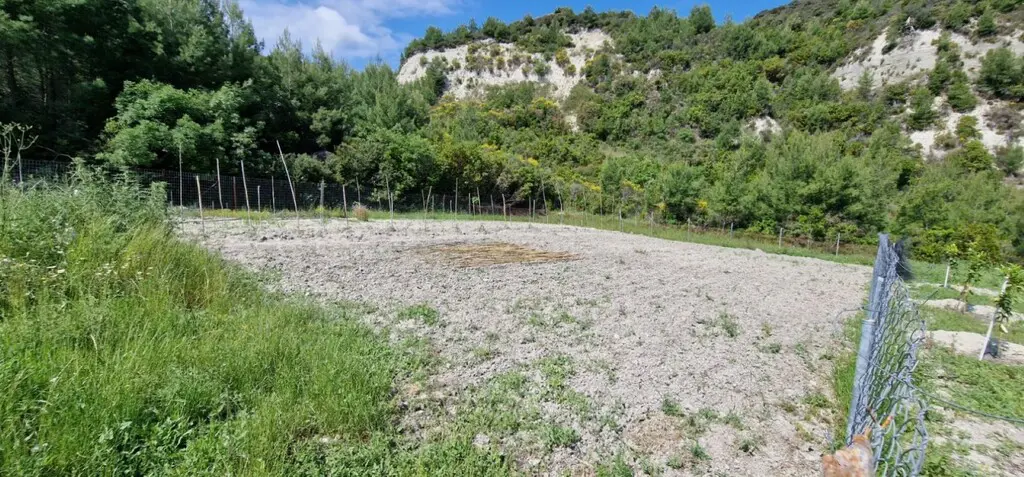 Land Of 10000 M² In Kassandra, Chalkidiki