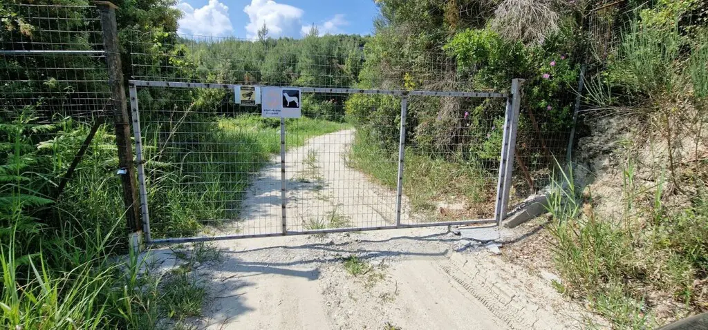 Land Of 10000 M² In Kassandra, Chalkidiki