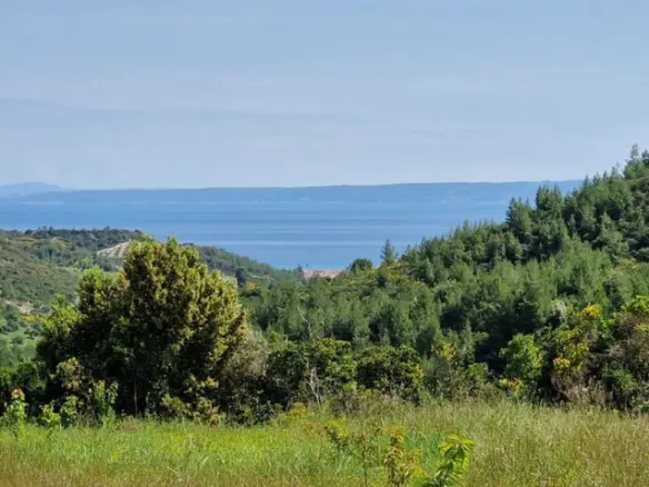 Land Of 10000 M² In Kassandra, Chalkidiki