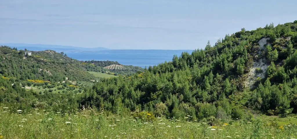 Land Of 10000 M² In Kassandra, Chalkidiki