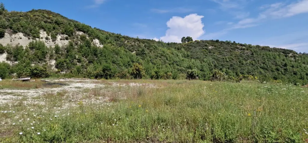 Land Of 10000 M² In Kassandra, Chalkidiki