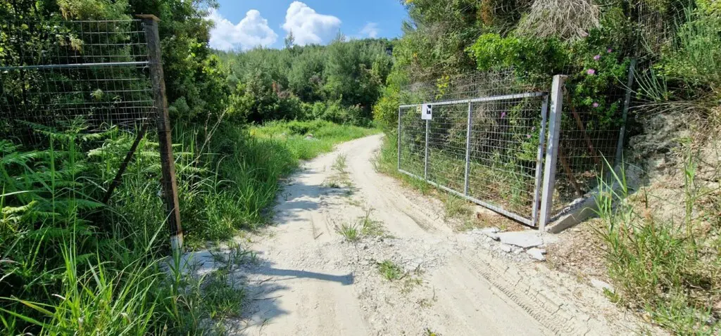 Land Of 10000 M² In Kassandra, Chalkidiki