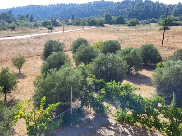 6-bedroom Detached House In Kassandra, Greece (200 M²)