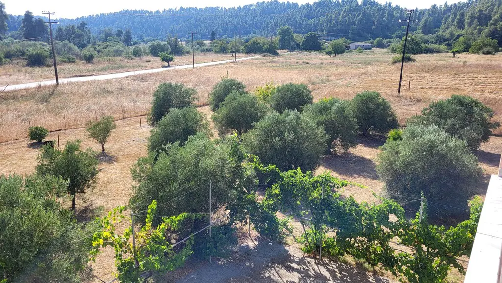 Detached House Of 200 M² In Kassandra, Chalkidiki