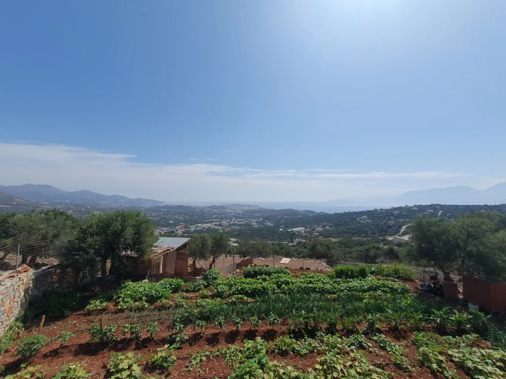 Land Of 4045 M² In Crete