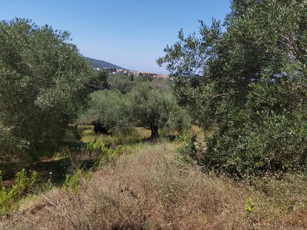 Land Of 4800 M² In Corfu