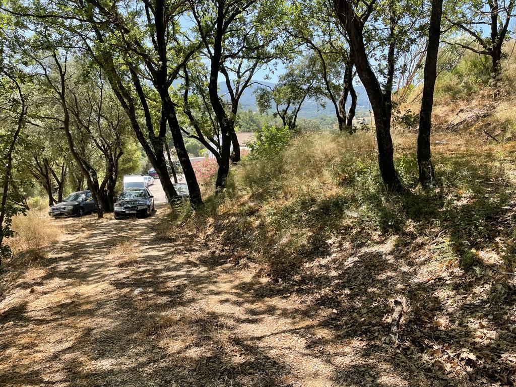 Land Of 26159 M² In Corfu