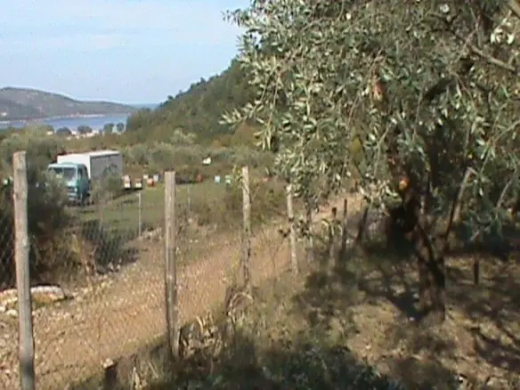 Land In Thasos, Greece