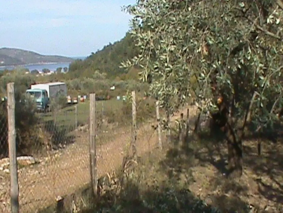 Land Of 4848 M² On The Island Of Thassos